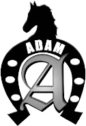 Adam Trailers